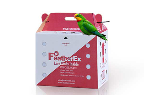 Bird shipping box