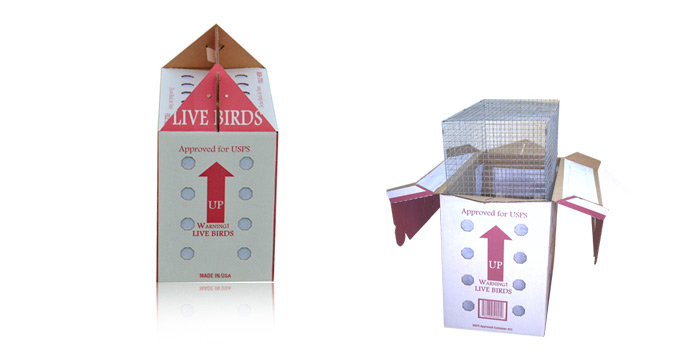 bird shipping boxes