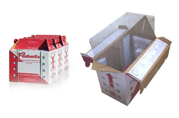 bird shipping boxes
