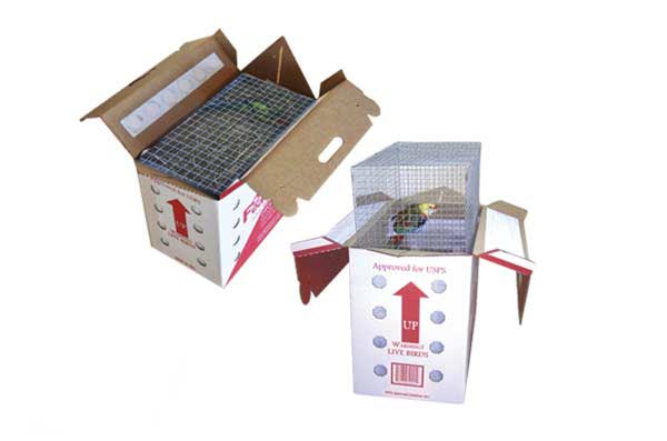 Live Parrot shipping boxes