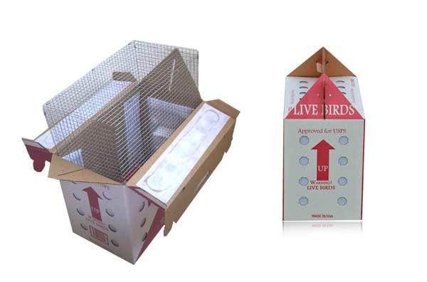 Live Parrot Shipping Boxes