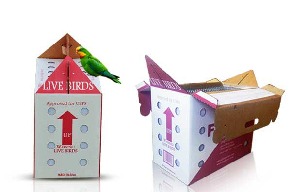 Parrot Shipping Boxes