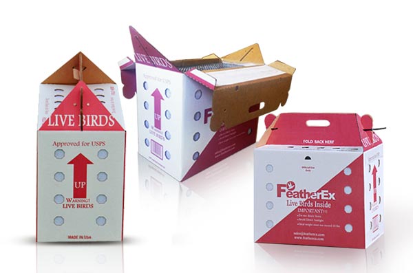 poultry shipping boxes