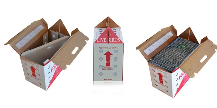 live birds shipping boxes