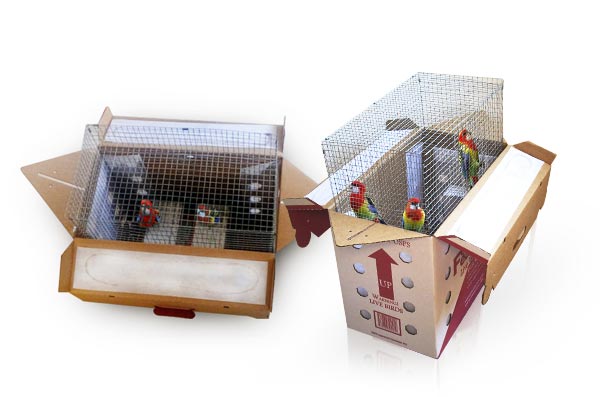 shipping boxes birds